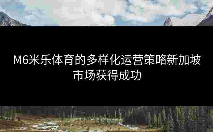 M6米乐体育的多样化运营策略新加坡市场获得成功