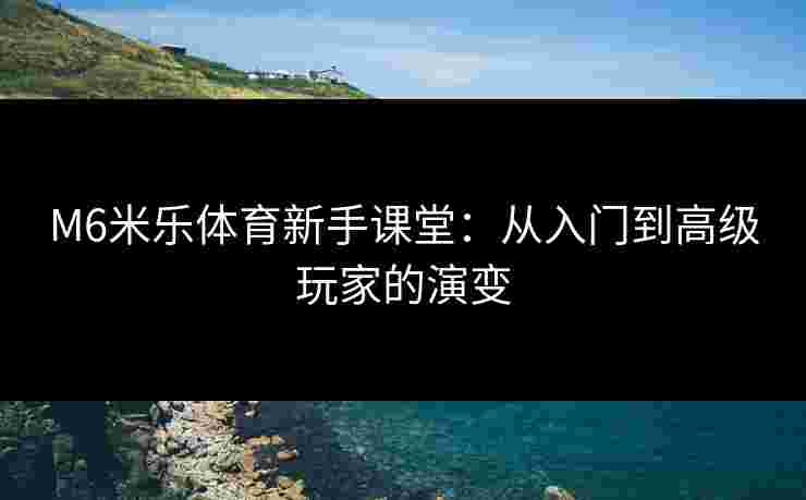 M6米乐体育新手课堂：从入门到高级玩家的演变