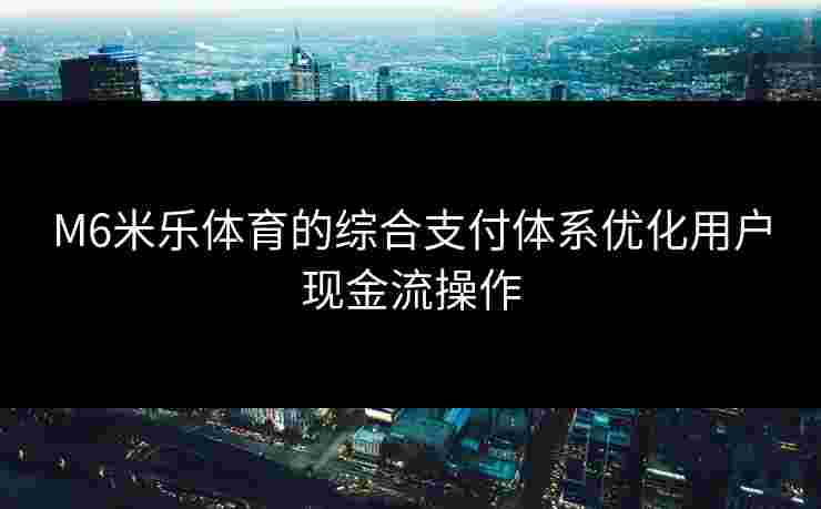 M6米乐体育的综合支付体系优化用户现金流操作